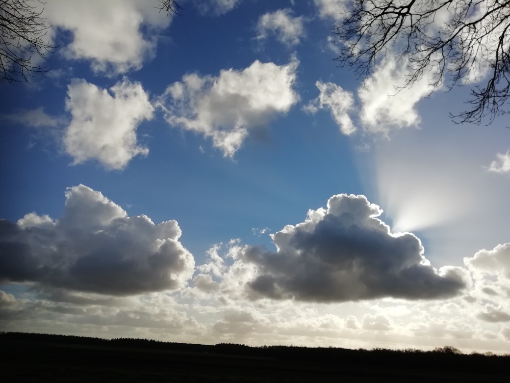 Geef des keizers….. | Tegenhetlicht