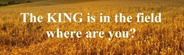 photo_2022-09-23_12-59-31